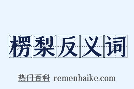 楞梨反义词是什么意思的图片